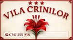 Vila Crinilor logo